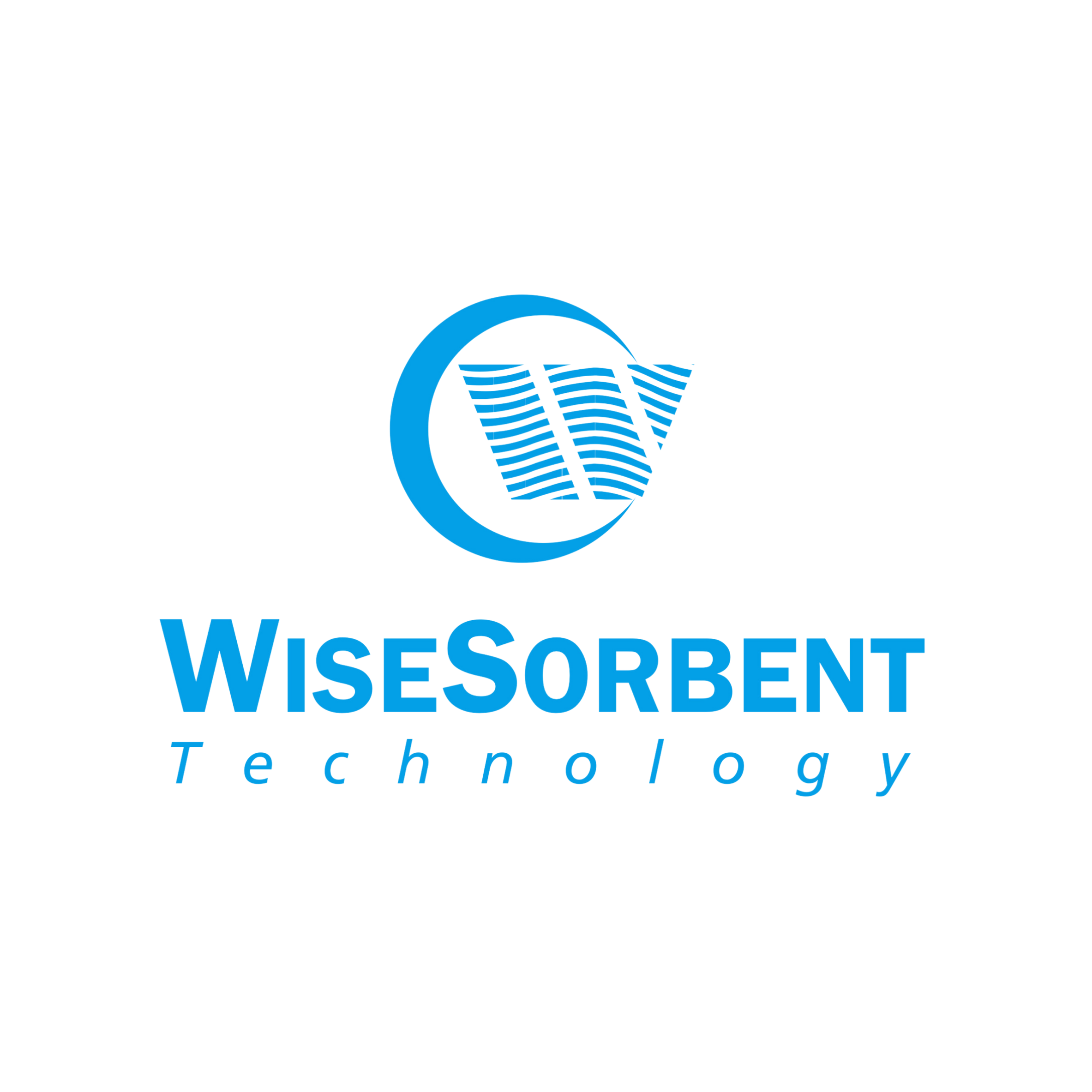 WiseSorbent Logo